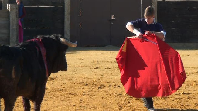 Toros desde La Petatera
